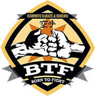 Born To Fight Karate